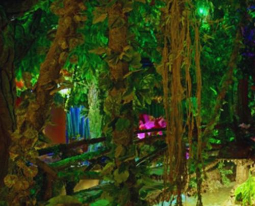 Rainforest
