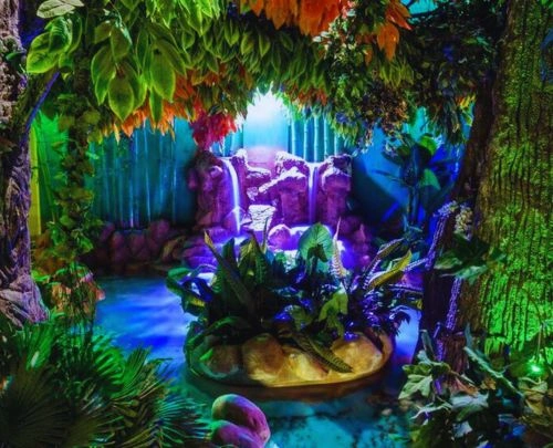 Rainforest