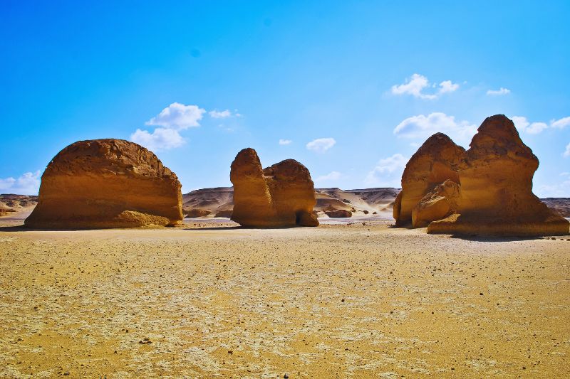 Wadi Al-Hitan